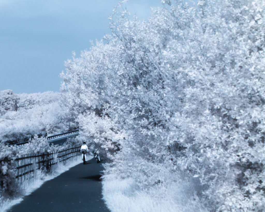 Infrared - Community Path