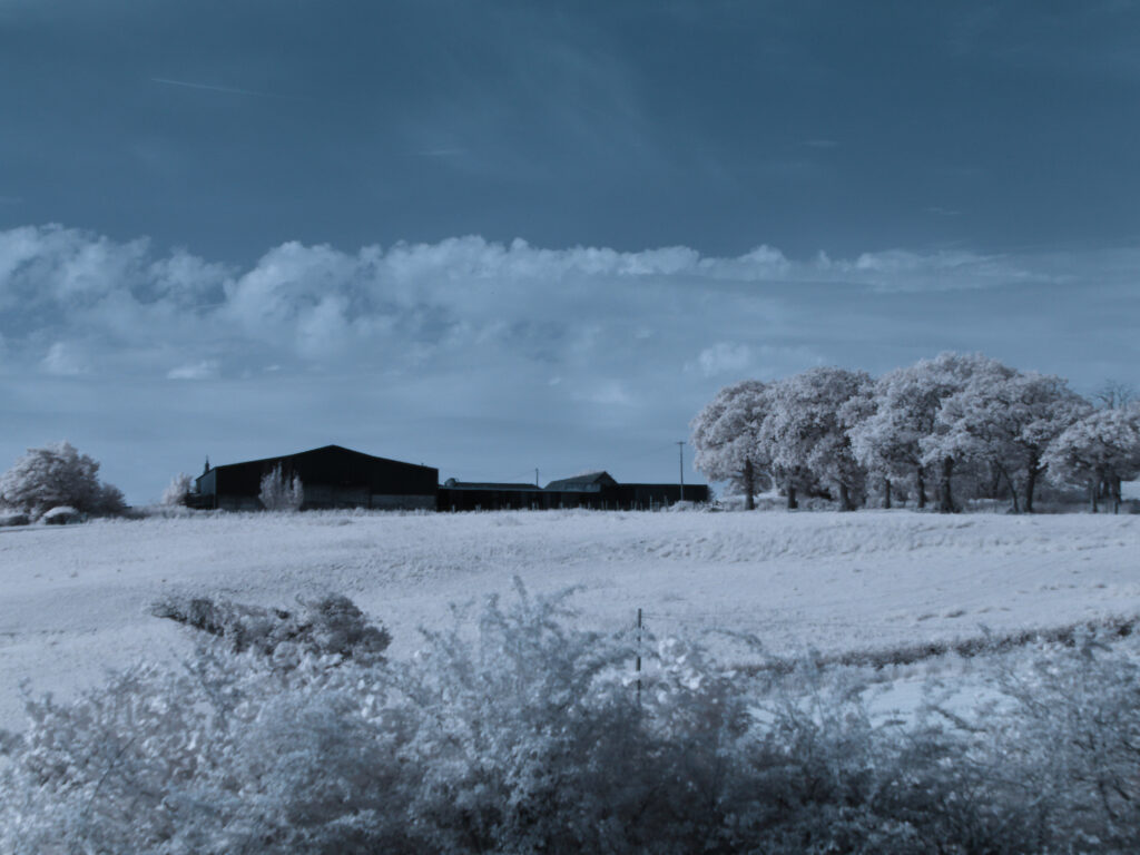 Infrared - Landscape